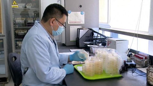 17年上海3人吃蛋糕,一死一傷一人卻沒(méi)事,報(bào)警調(diào)查發(fā)現(xiàn)不簡(jiǎn)單