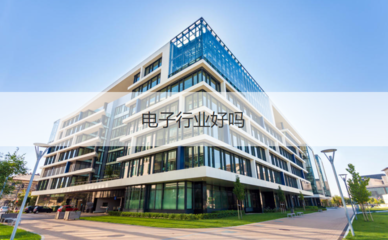 柳州微電子行業(yè) 企業(yè)待遇、工作體驗(yàn)與投資管理分析